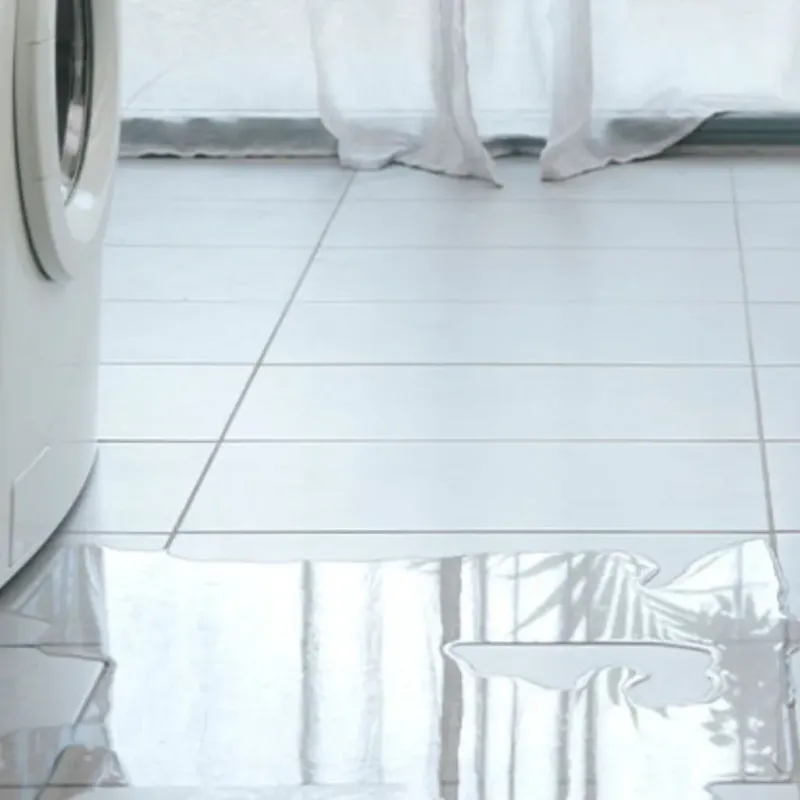 Appliance Leak Cleanup in Antrim, NH