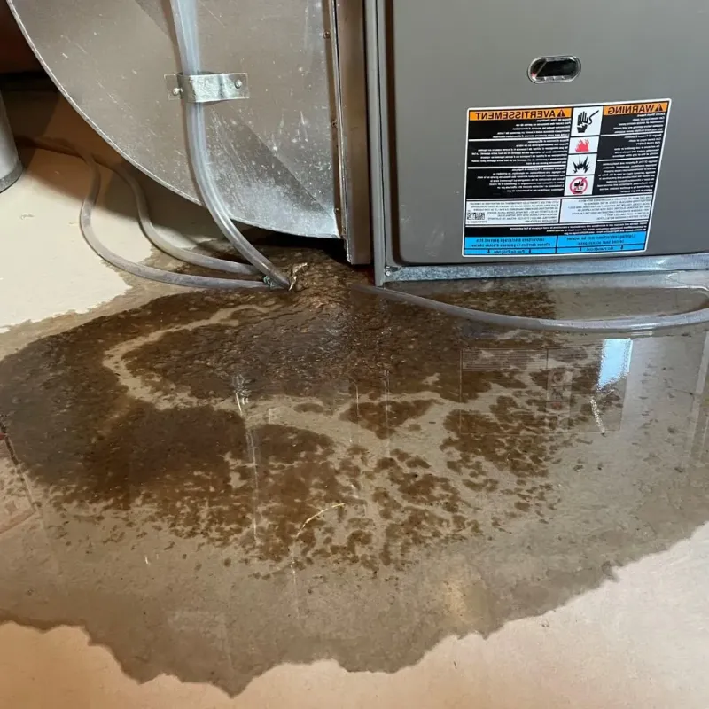 Pipe Burst and Leak Restoration in Antrim, NH