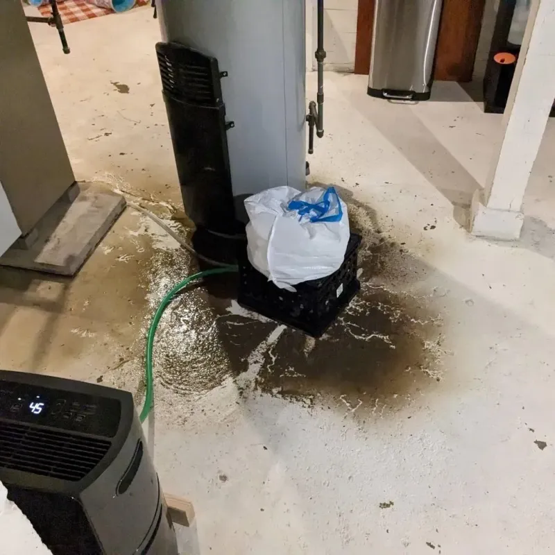 Sewage Backup Cleanup Service in Antrim, NH